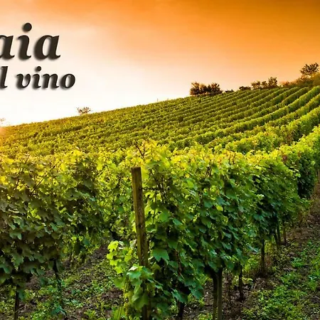 Tuscany * Cenaia